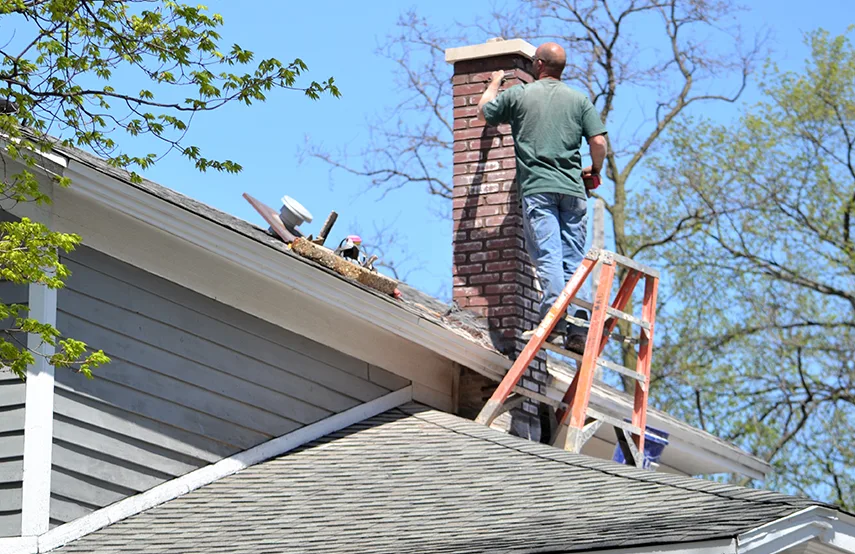 Chimney & Fireplace Inspections Services in Lexington, NC